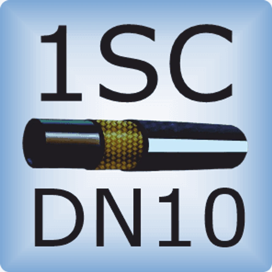 DN10 1SC DIN EN 857