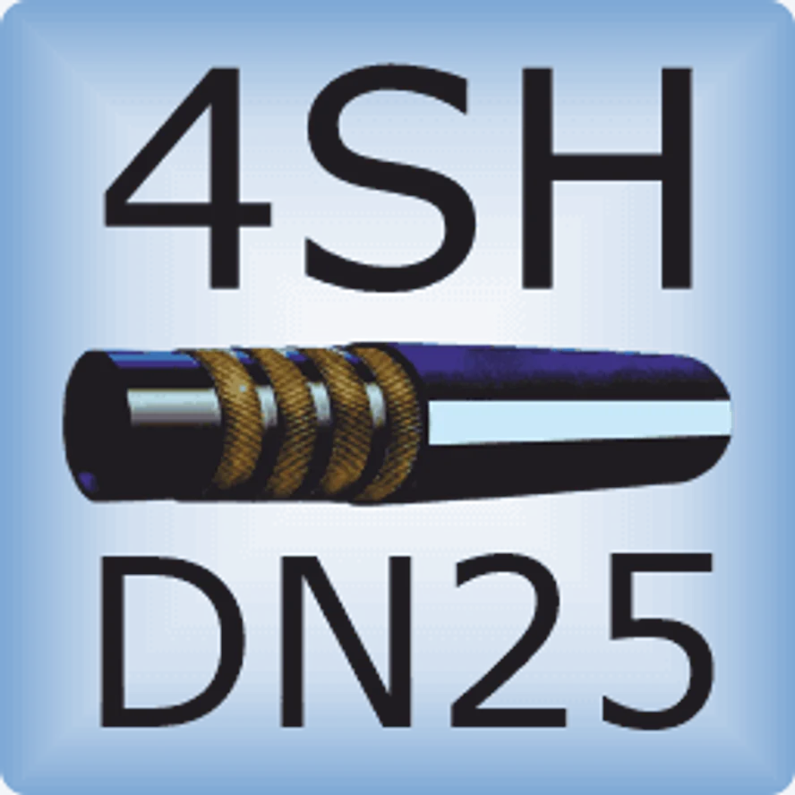 DN25 4SH DIN EN856