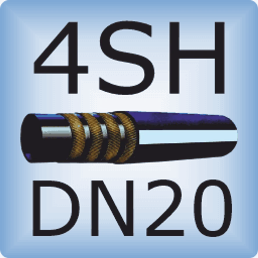 DN20 4SH DIN EN856