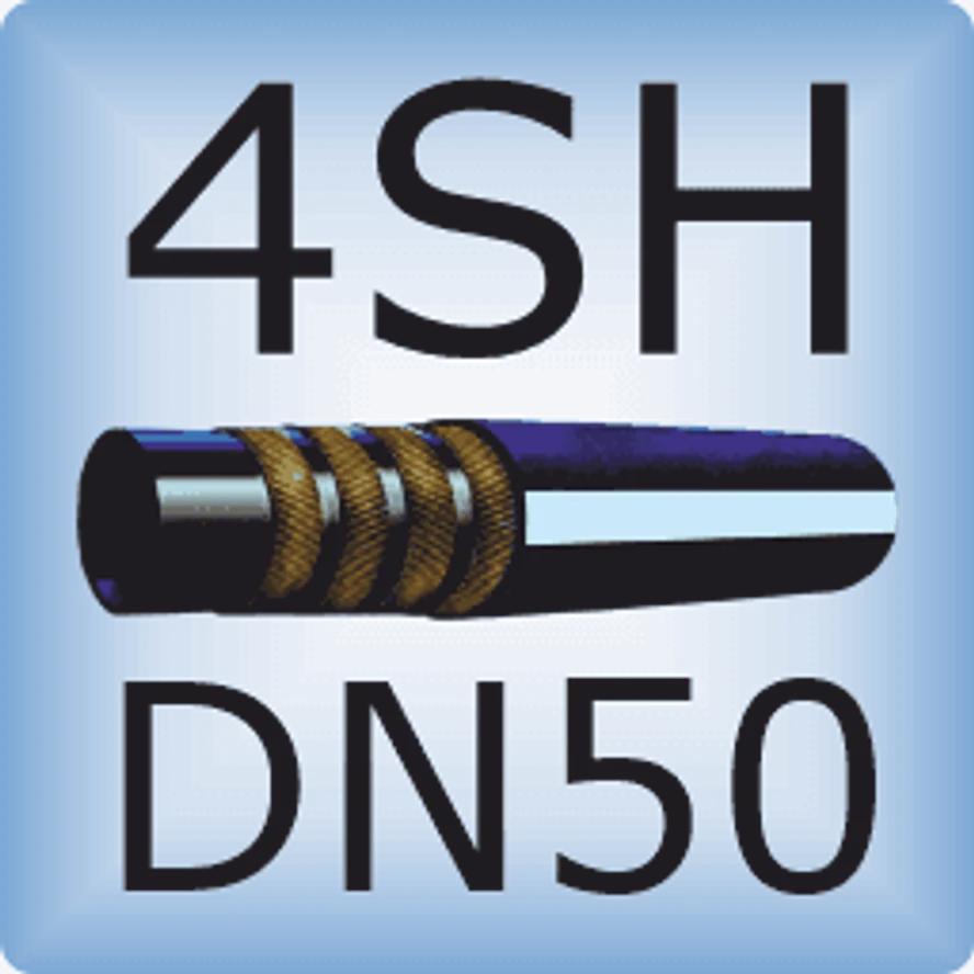 DN50 4SH DIN EN856