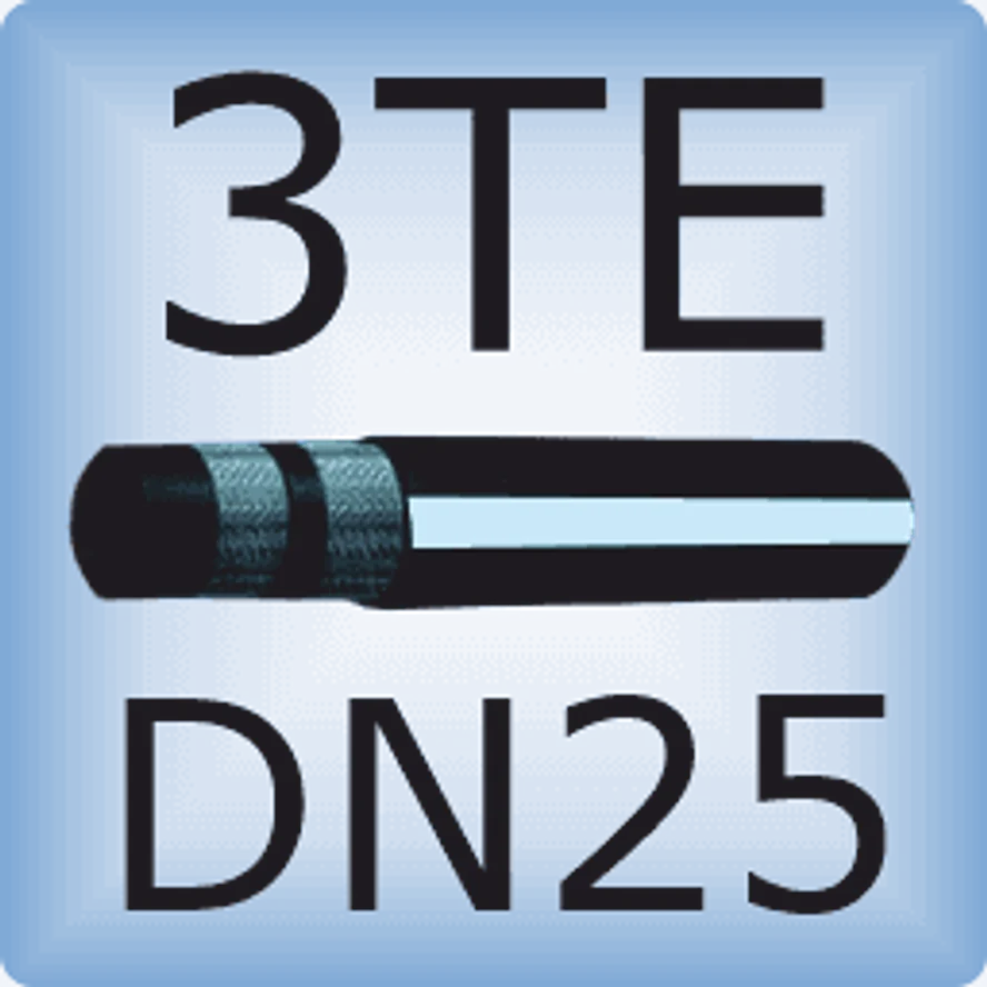 DN25 3TE DIN EN854