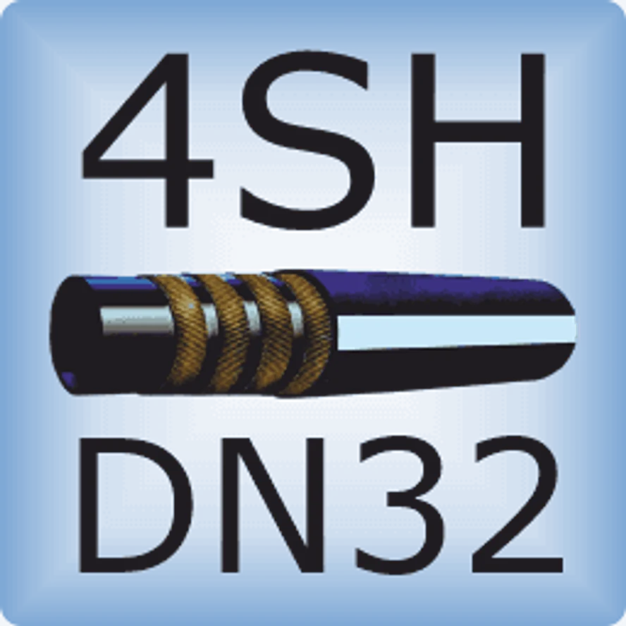 DN32 4SH DIN EN856